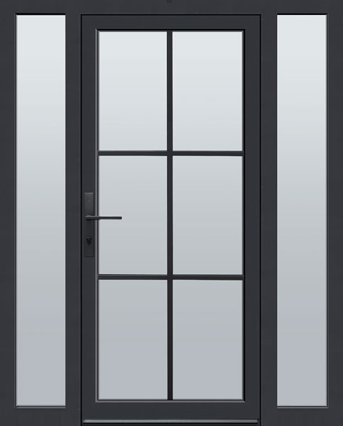 Aluminum Exterior Door EAL-SWS-W6-2SL-W1