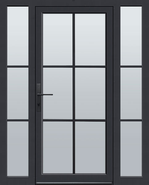 Aluminum Exterior Door EAL-SWS-W6-2SL-W3