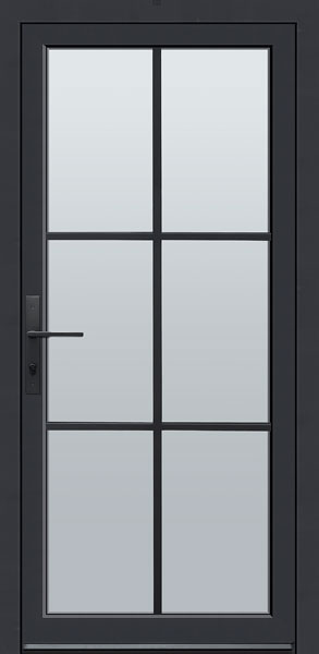 Aluminum Exterior Door EAL-SWS-W6