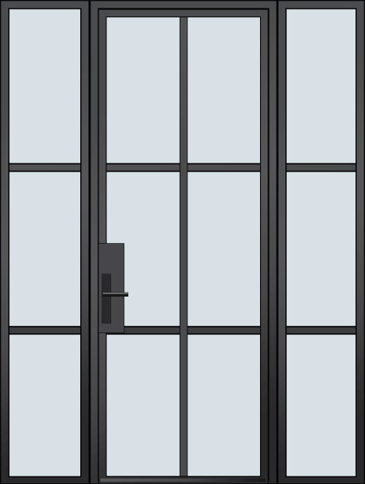 Steel & Glass Exterior Door EST-W6-2SL in California