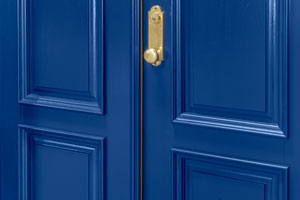 DB-303PS-DD_CST_Mahagony-BluePaint - Front Door Close-up 0