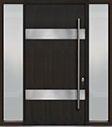 DB-PVT-M1 2SL18 48x96 Single with 2 Sidelites Pivot Door